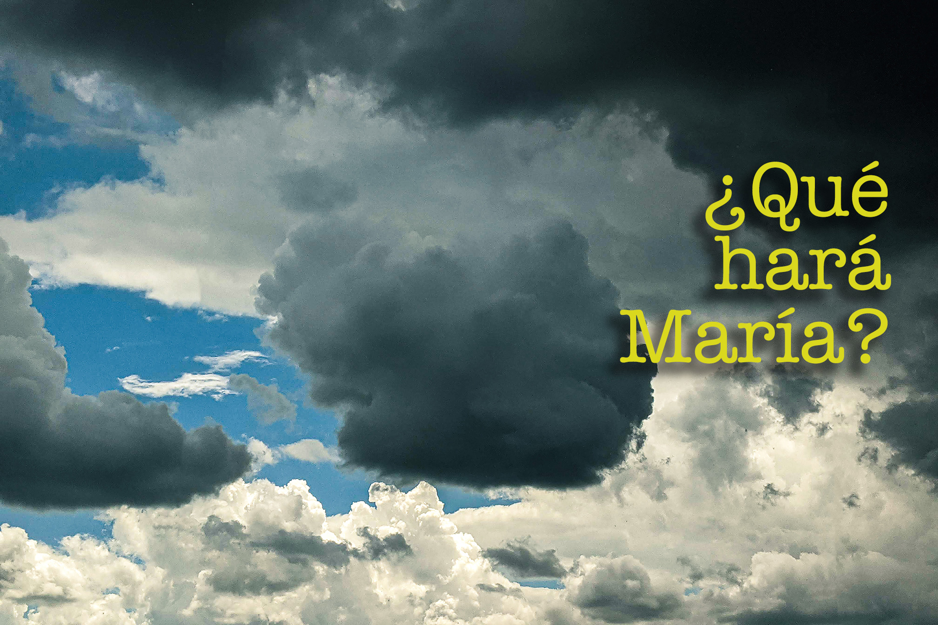 ¿Qué hará María?