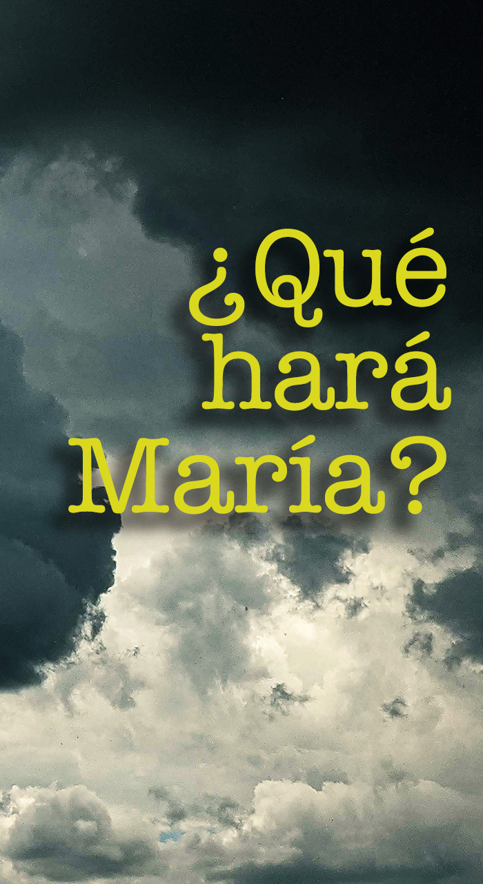 ¿Qué hará María?