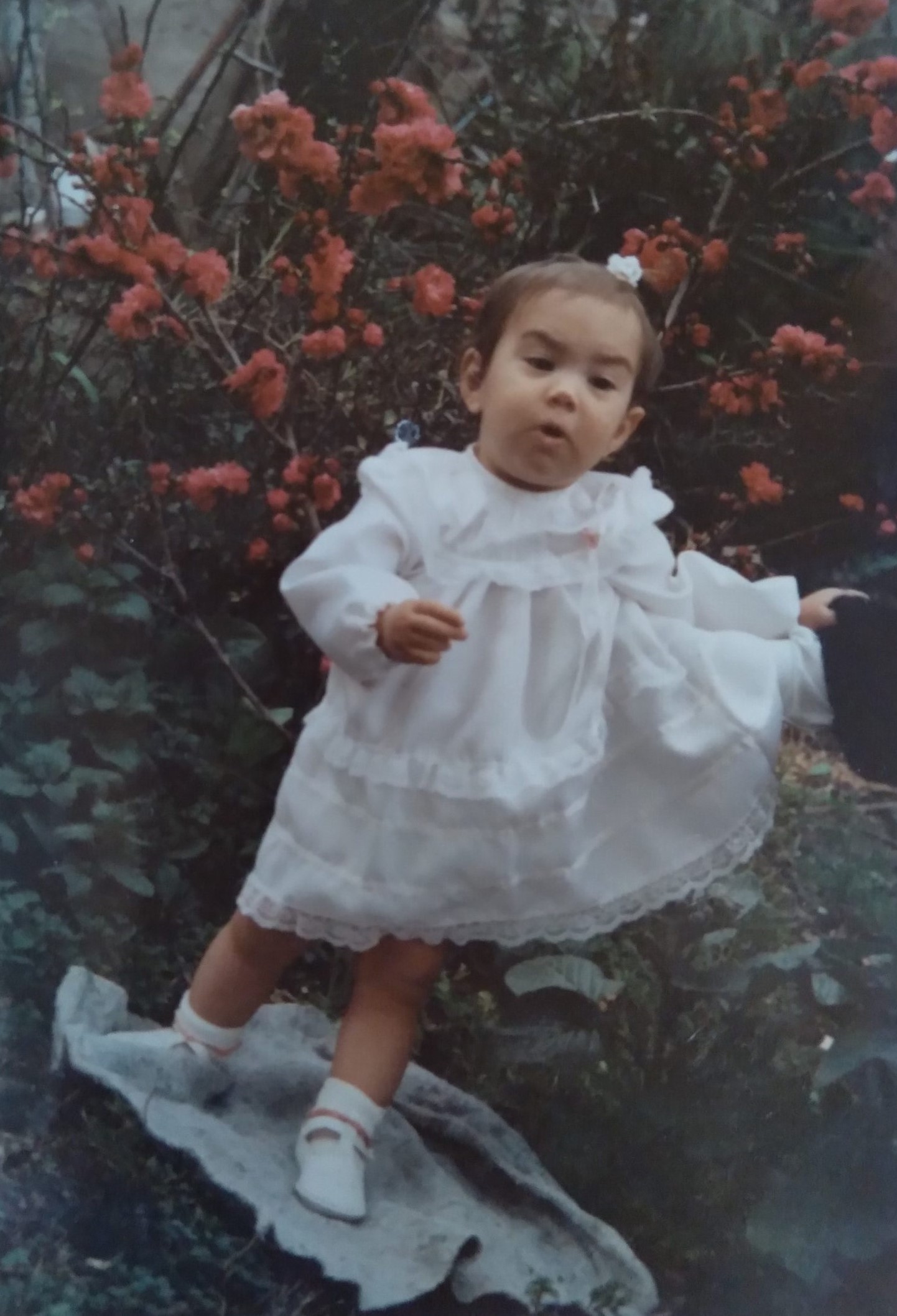 Las suplicantes (de Eurípides). Teatro<br />
Nacional de Grecia. Dirigida por Stathis Livathinos (N-t.gr).